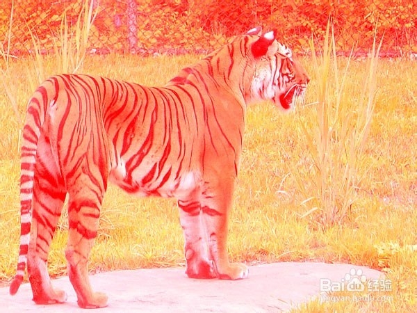 怎么用Photoshop的渠道和颜色