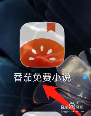 番茄免费小说怎样查看看过的人