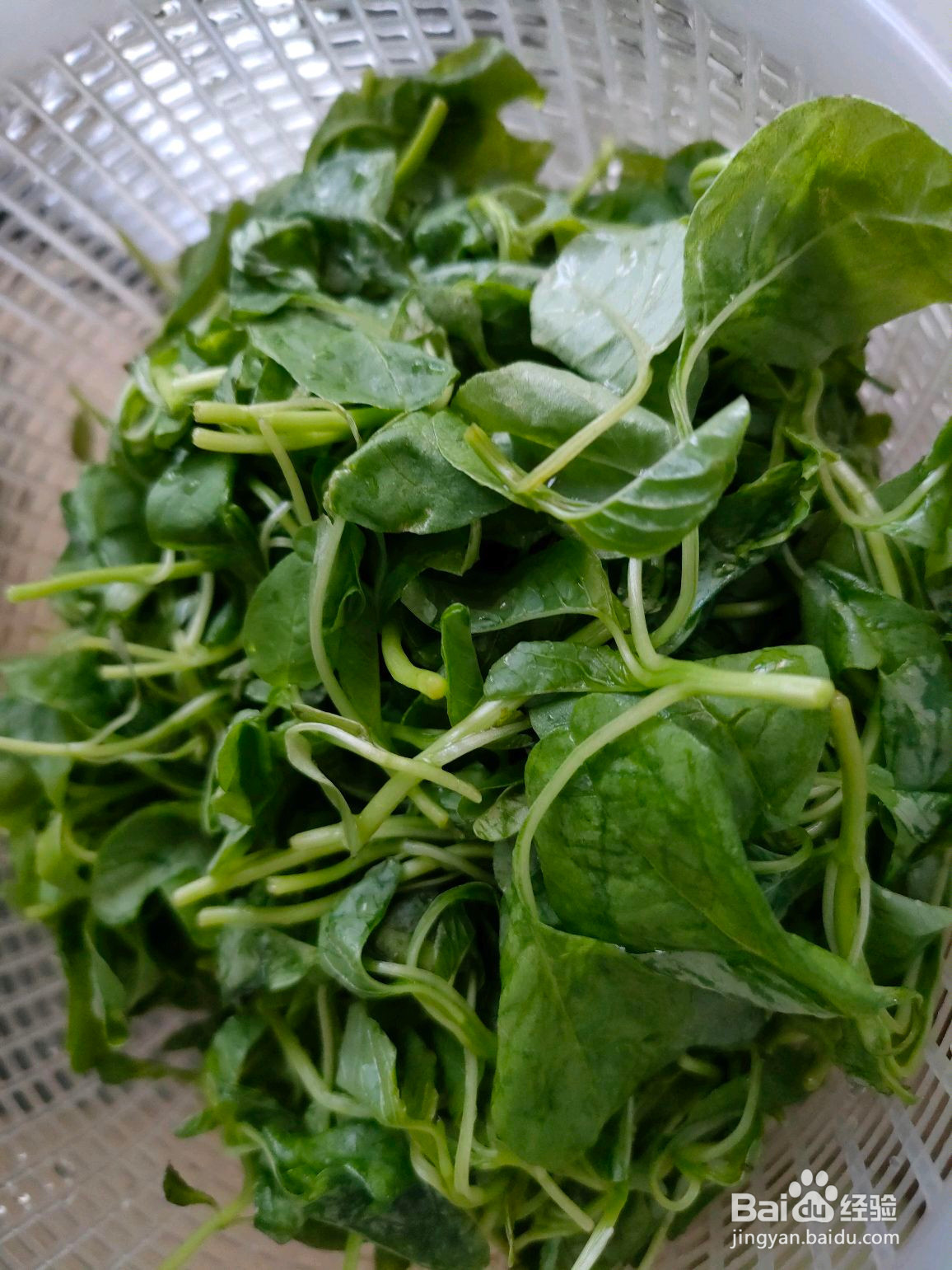 本周时令菜快手笋干苋菜的做法