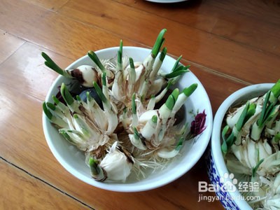 如何雕刻水仙花
