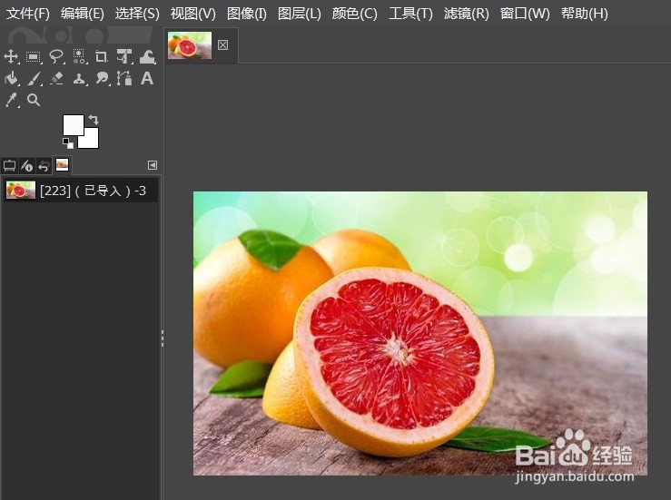 GIMP图像的单色化效果怎么用