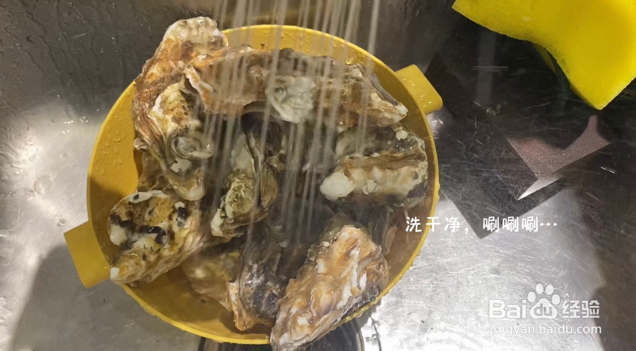 蒜蓉粉丝生蚝的做法