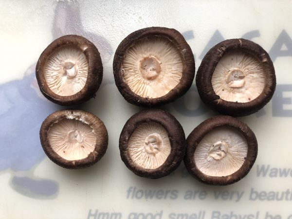 虾泥扇贝香菇盅