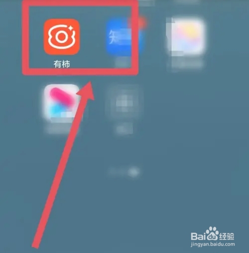 有柿该怎么设置简介