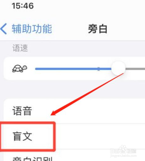 苹果 13旁白八点式盲文怎么输出