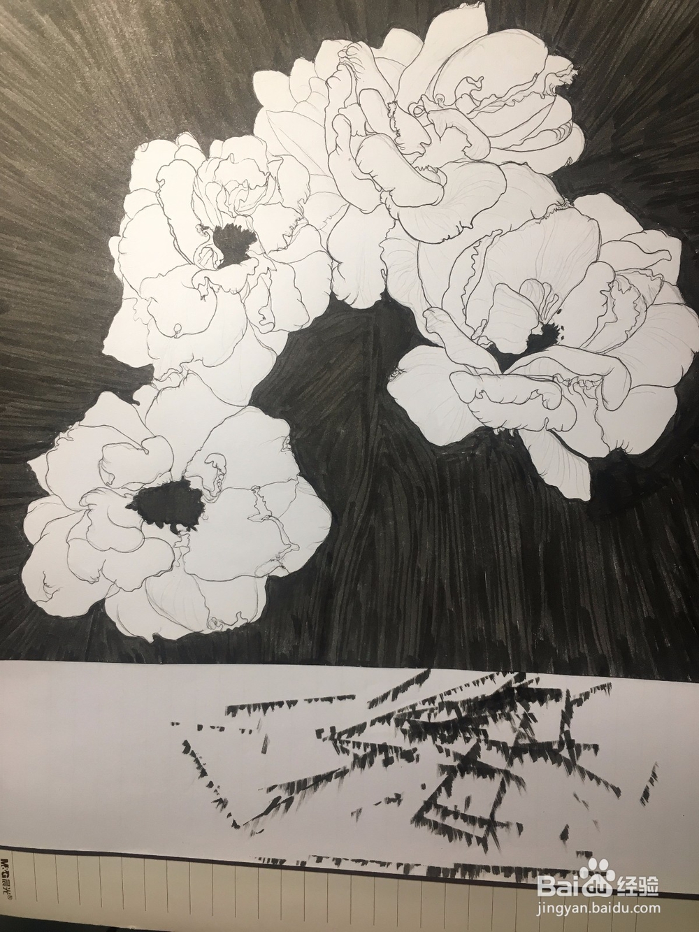 月季花的画法 月季简笔画 三朵月季的线描画教程