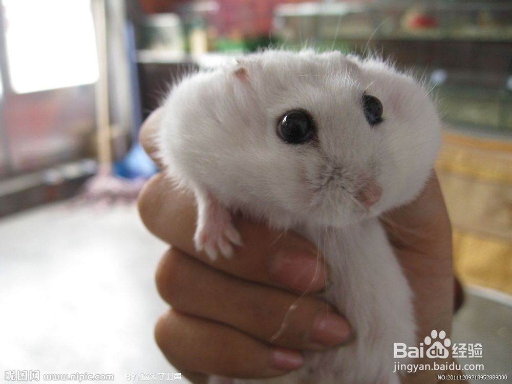 5个减压的小秘诀