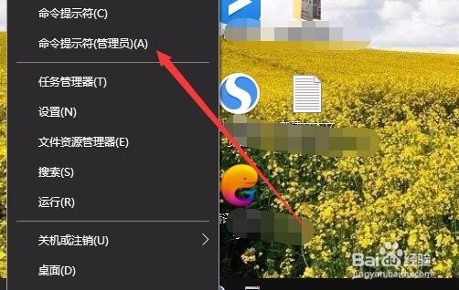 如何查笔记本电脑型号 Win10怎么样看电脑型号