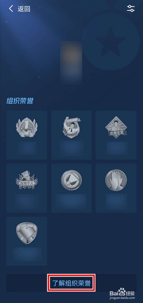 如何在钉钉应用中了解队伍荣誉