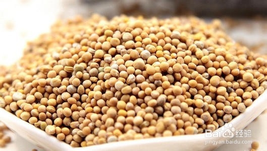 【芸豆健康药材课堂】市面上的白芥子怎么选？