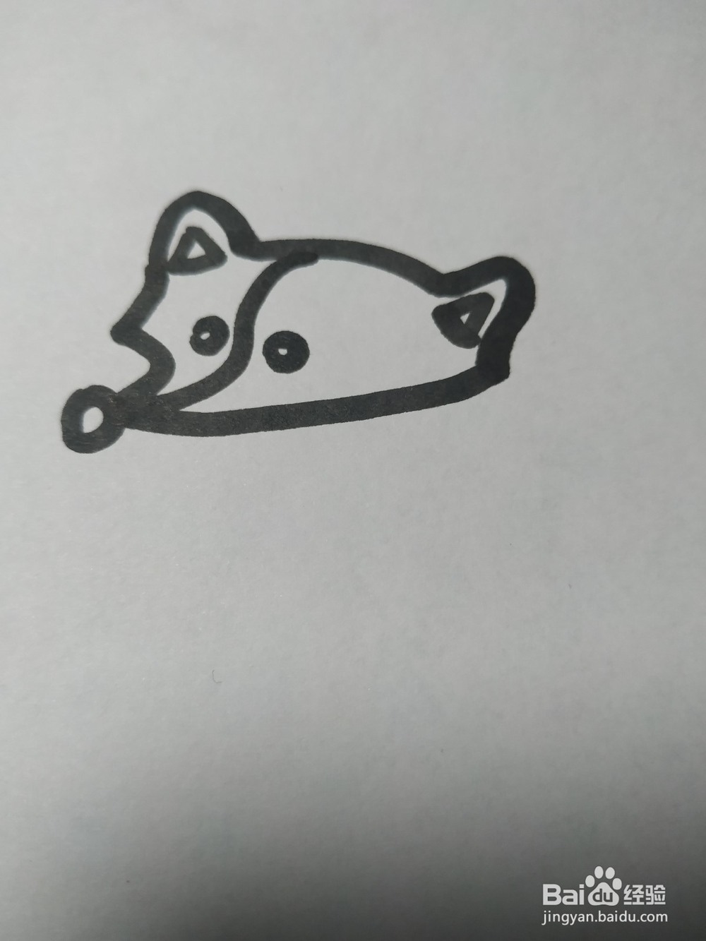 狐狸的简笔画技法(二十)