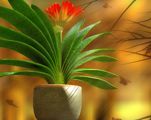 如何防止君子兰“夹箭”?