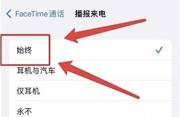 苹果手机如何设置FaceTime来电时播报