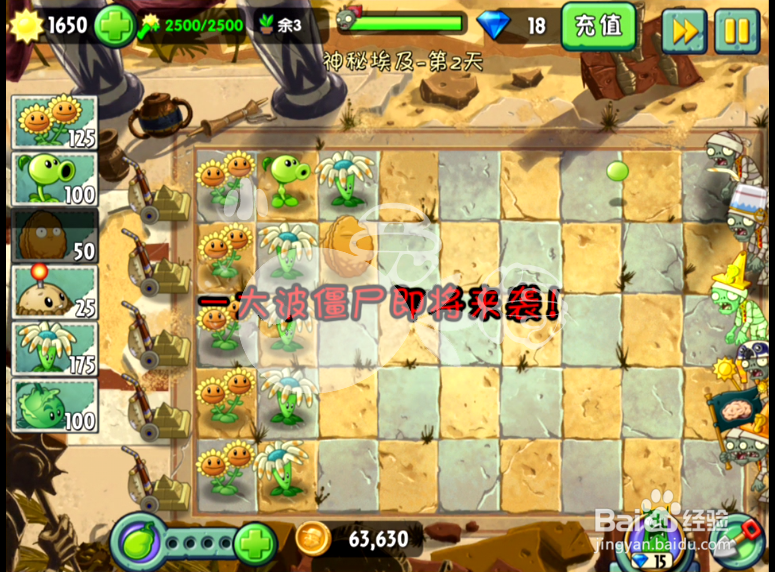 植物大战僵尸2攻略 神秘埃及 第二天三星