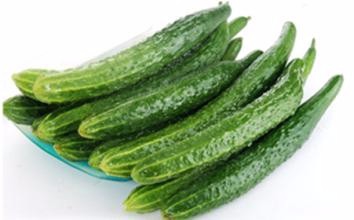 如何选黄瓜和黄瓜有哪些种类?