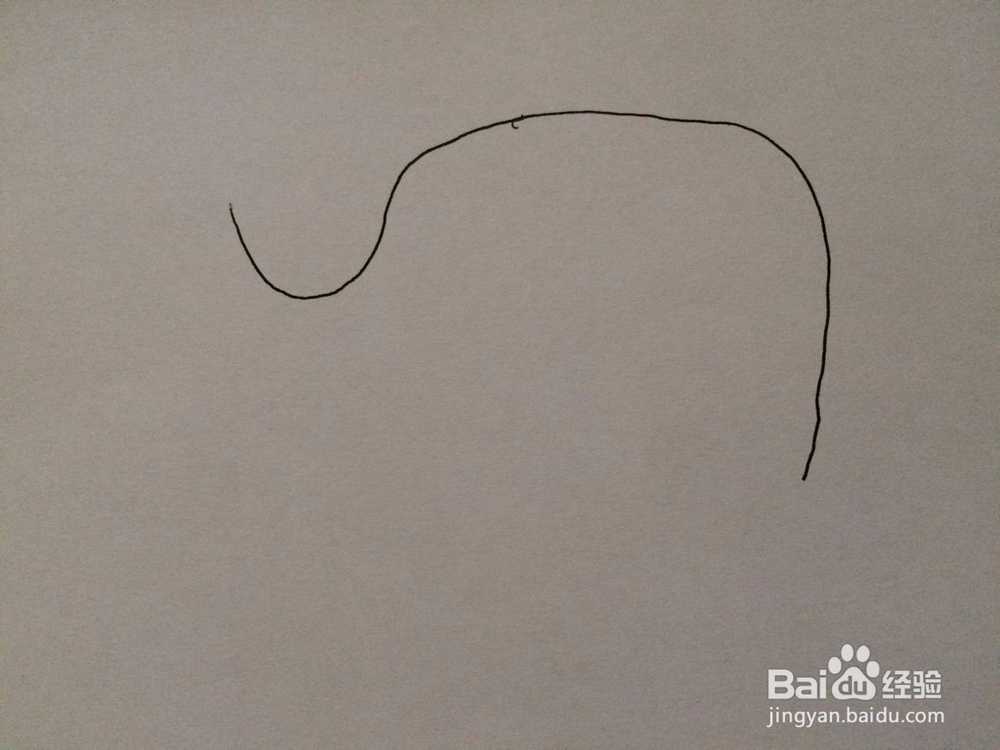 可爱大象的简笔画方法