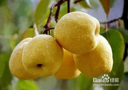 教你正确挑选水果