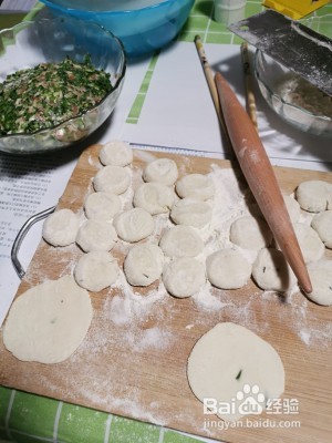 养生食补韭菜猪肉馅饺子