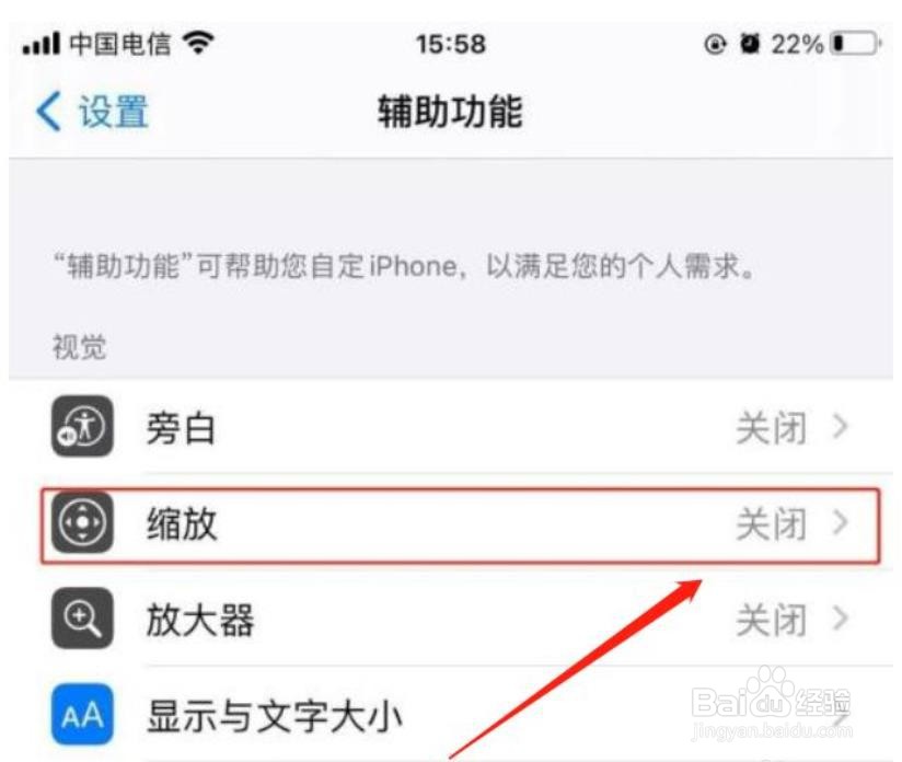 苹果手机怎么设置缩放滤镜反转功能