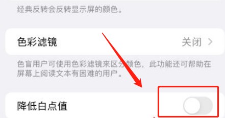 iPhone 11 Pro Max怎么开启降低白点值
