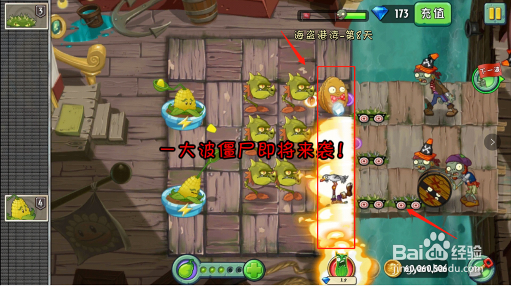 植物大战僵尸2:海盗港湾第8天怎么抵挡僵尸