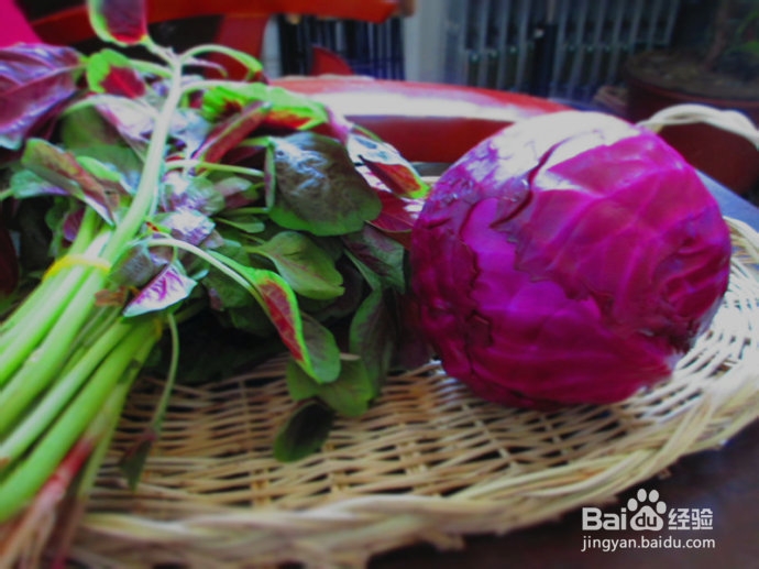 玩儿出色彩---彩带面条