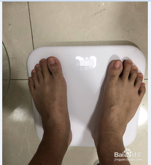 小米体脂称如何使用