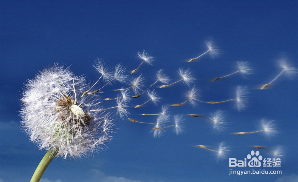 轻美式装修设计风格，连玄关都怎么美。