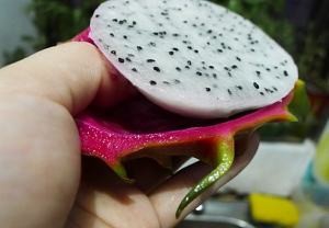 如何做火龙果炒虾仁