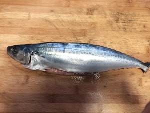 怎么做鲅鱼水饺