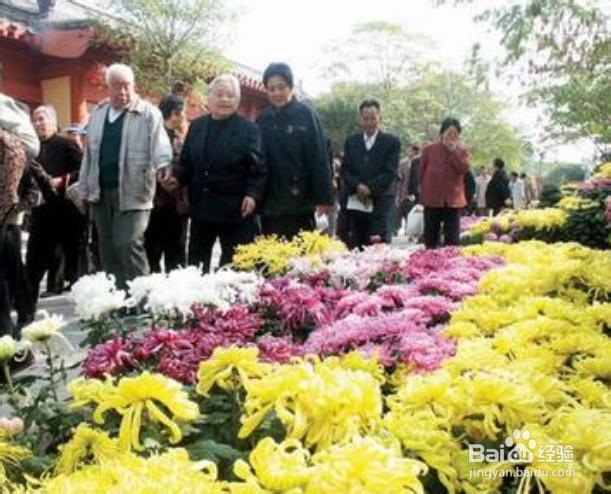 九九重阳敬老风尚