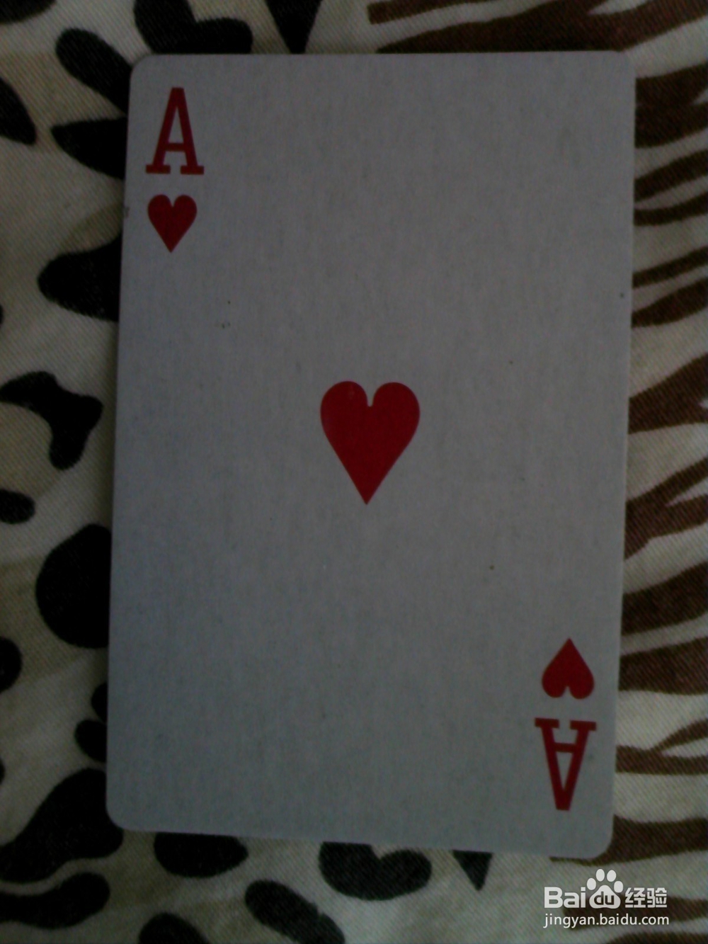 命运数·天赋数