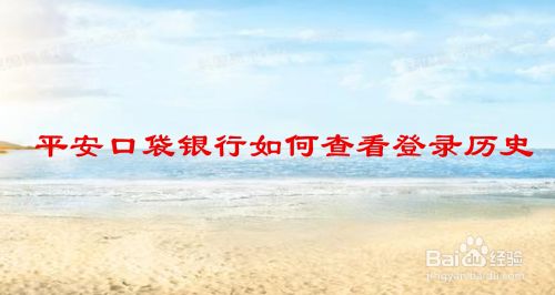平安口袋银行如何查看登录历史