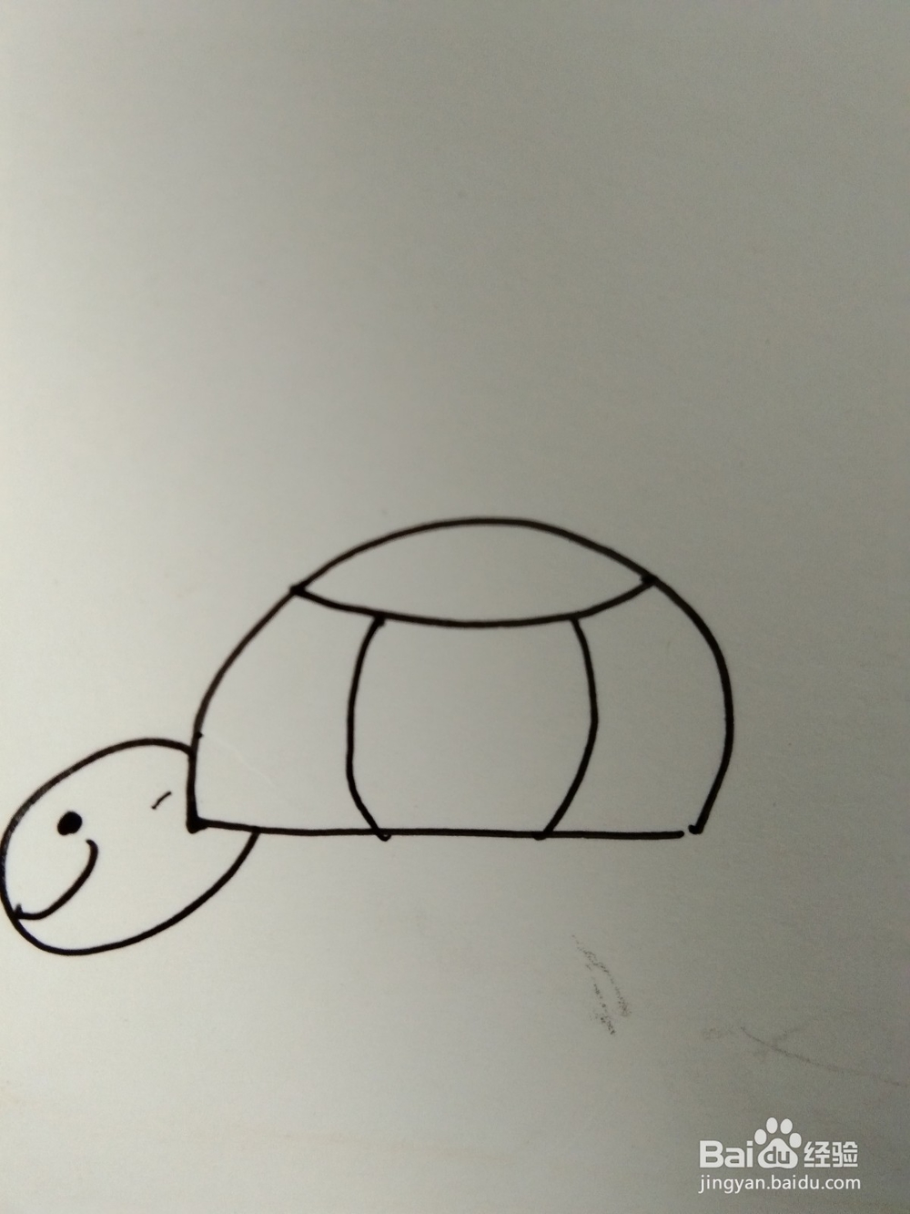 如何画简笔画乌龟？