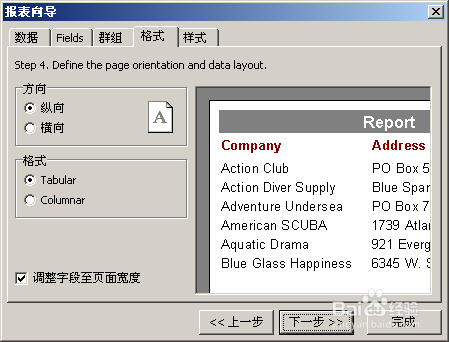 fastreport中文版初级教程之报表向导