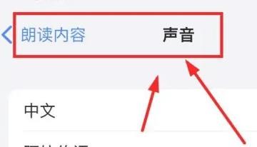 iPhone14如何设置朗读的语言为阿拉伯语