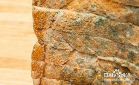 孩子吃了发霉面包怎么办