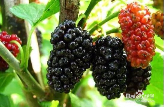 血糖仪测血糖需要注意什么？