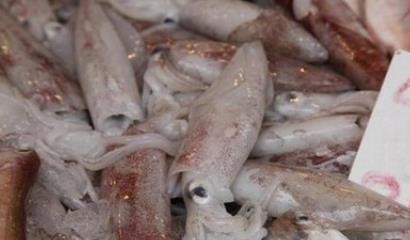 小墨斗鱼怎么清洗