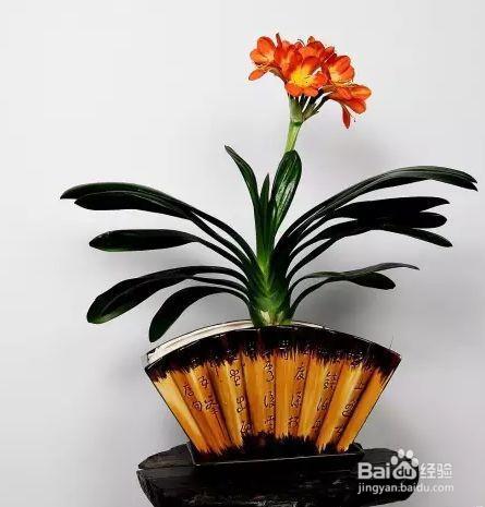 就知道用绿萝吸甲醛,这几种植物净化空气比绿萝好几倍!