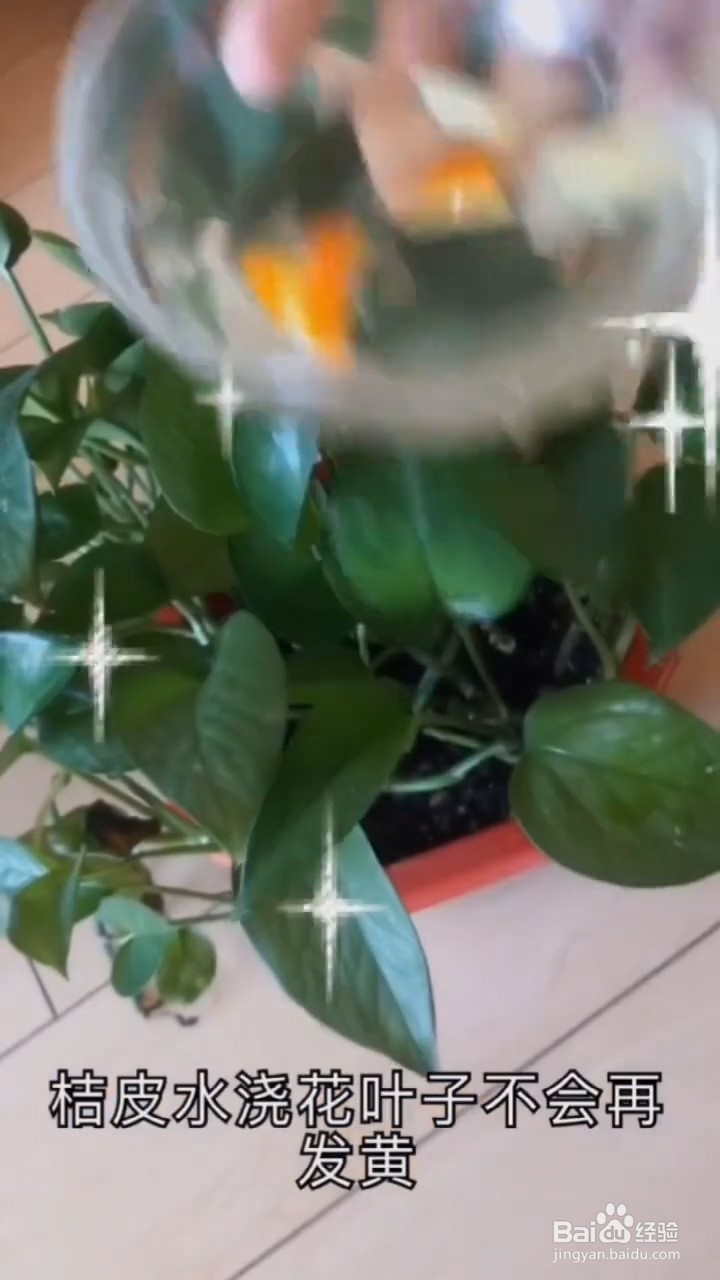 橘子皮的妙用。