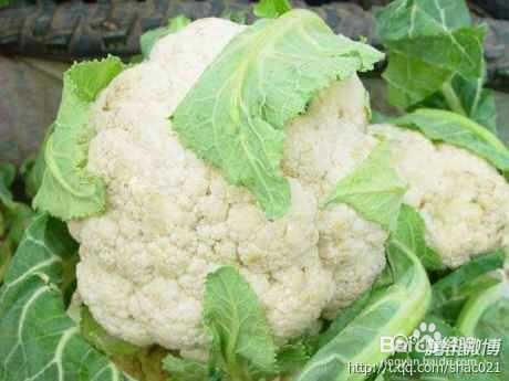 常吃六种食物轻松降血脂三高不缠身