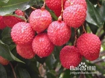 夏天吃什么东西好呢