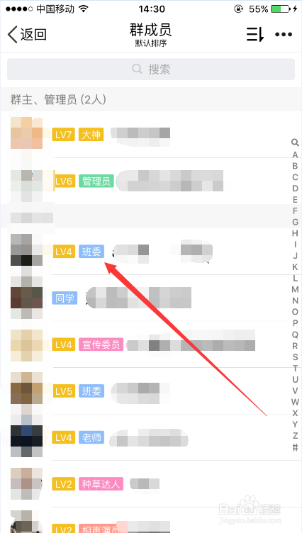 怎么查看qq群成员等级