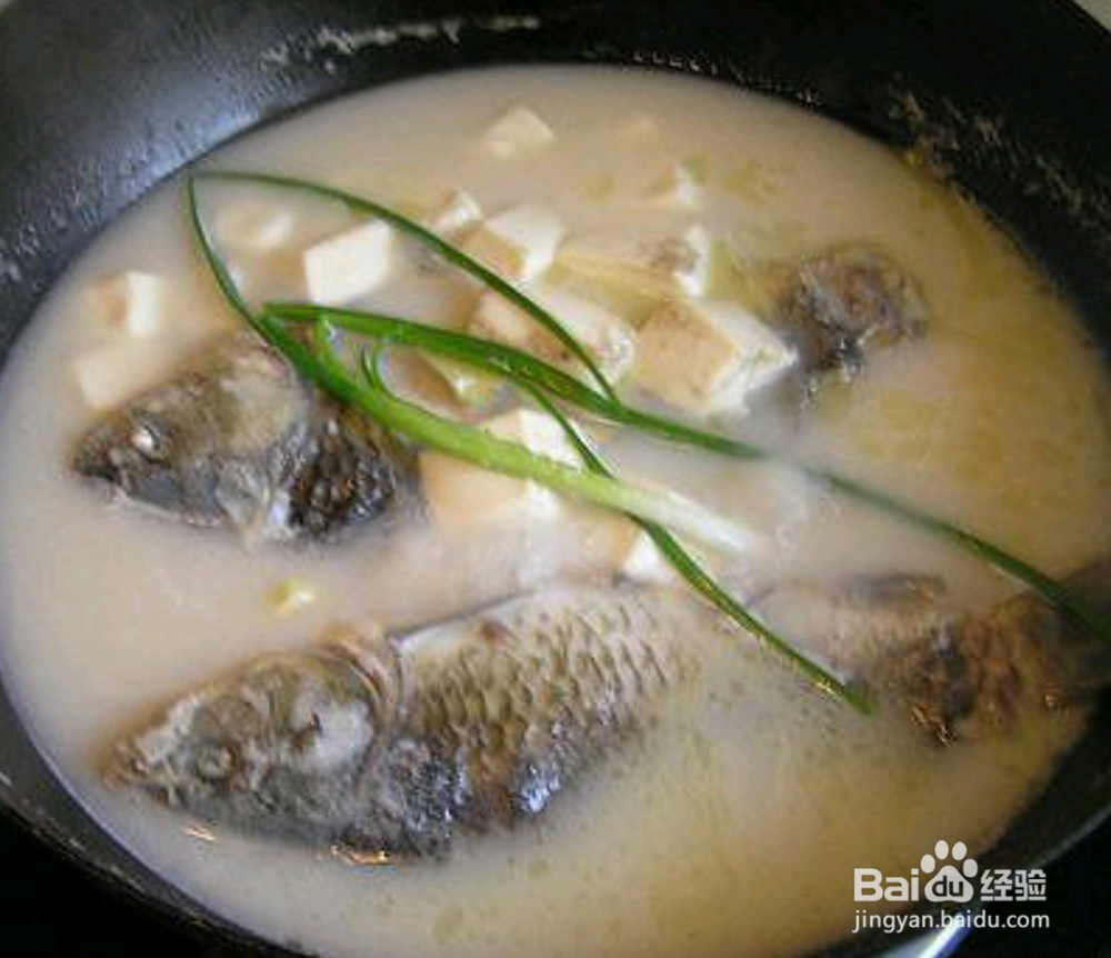 奶白色的鲫鱼豆腐汤