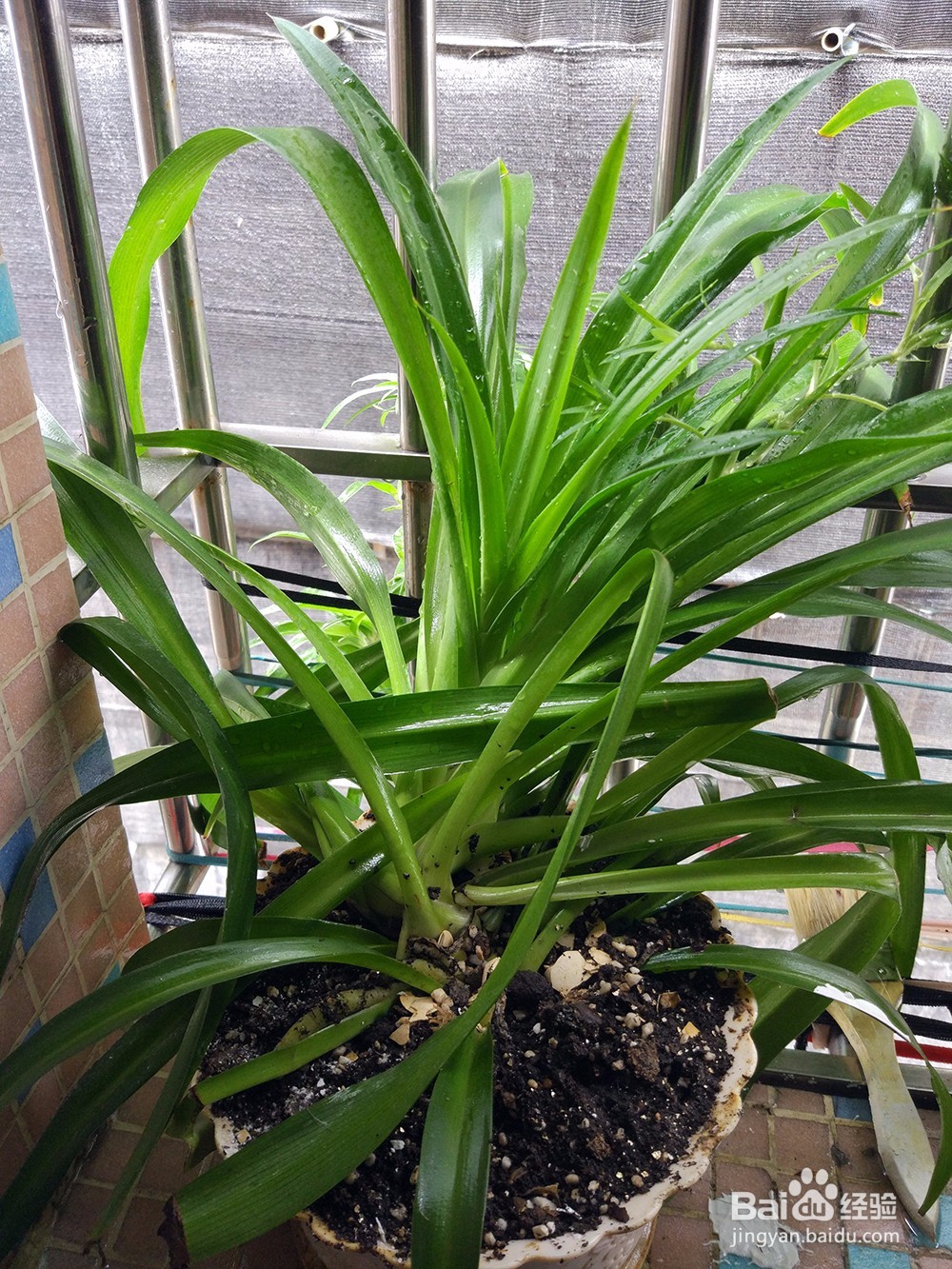 手机拍照如何取消时间水印？