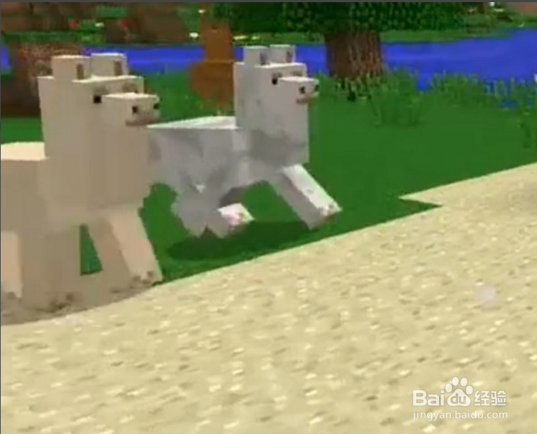 我的世界羊驼怎么骑?