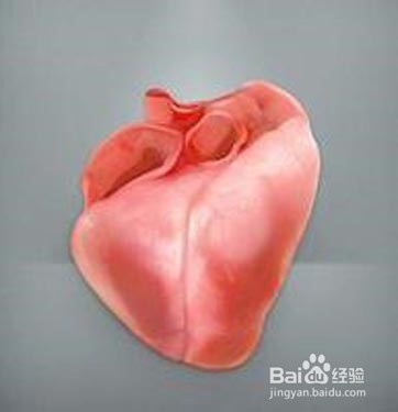 防癌抗癌中的绿仙子