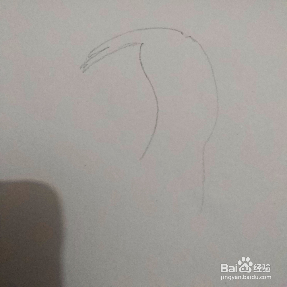 简笔画38：Q版叼花姑娘画法