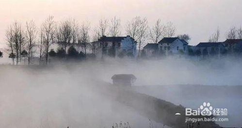 雾是怎么来的?雾又是怎么消失的?